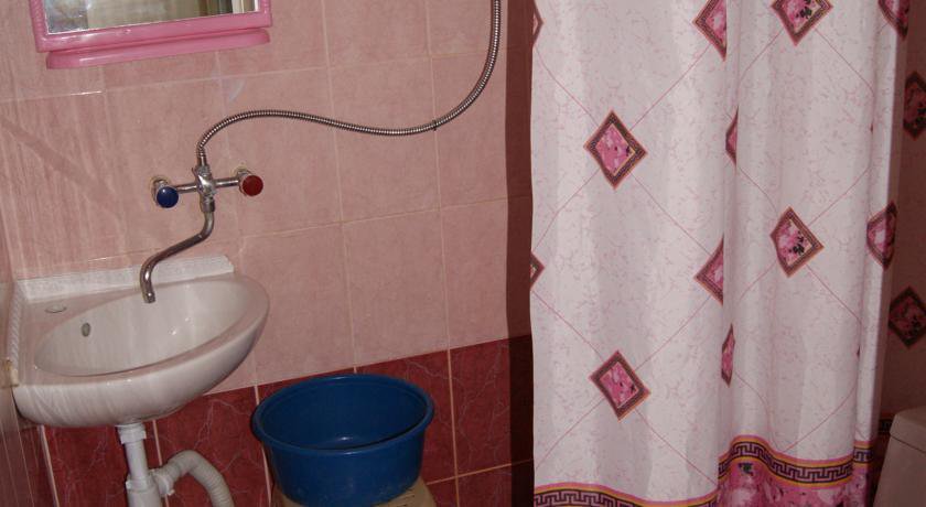 Гостиница Гостевой дом Романовых Виктория Анапа-5