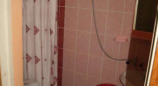 Гостиница Гостевой дом Романовых Виктория Анапа-21